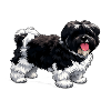 Tecknad_Shih_Tzu_med_tungan_ute