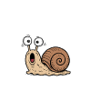 Oh you snail! Funny pun snail