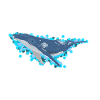Humpback Whale for Sea Lovers