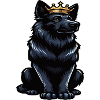 Black German Shepherd German Shepherd Owner