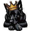 Schwarzer Schäferhund Schäferhundbesitzer 