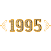 Legend since 1995 retro 1995