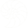 White Nautilus Spiral
