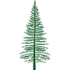 Green Fir Tree Silhouette