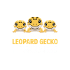 Just One More Leopard Gecko I Promise
