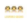 Leopard Gecko Trio I Promise