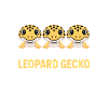 Leopard Gecko Trio Promise