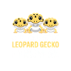 Leopard Gecko Trio Promise