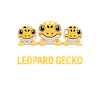 Leopardgecko Trio Versprechen Tee