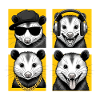 opossum