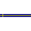 Icône du drapeau suédois