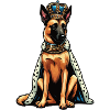 Malinois Belgian Shepherd Malinois Owner
