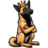 Malinois Belgian Shepherd Malinois Owner
