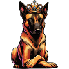 Malinois Belgian Shepherd Malinois Owner