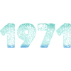 Neon Bruch 1971