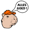 All good