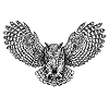 Owl with Ornate Wings