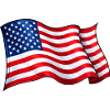 USA Flag Wave Motif
