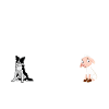 Eat Sleep Herd Repeat Border Collie Sheep