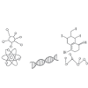 Pizzaologe-Studie zum lustigen Pizza-Witz