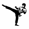 Karaté Silhouette Kicking