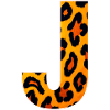 LeopardJ Letter