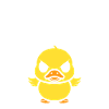 Canard groggy épuise des gens