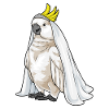 Parrot Bridal Veil Wedding