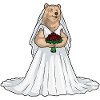 Bear Bridal Rose Wedding