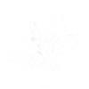 Windsurfing motif that works immediately