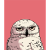 Grumpy Owl Illustration – Urteilende Tierkunst De