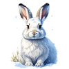mountain hare