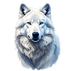 Arctic wolf