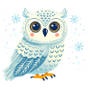 Winter Owl in Snowflakes