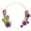 Delicate Crocus Wreath in Purple Illustration