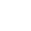 Vet Syringe