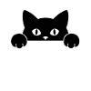 Judging You Silently - Funny Cat