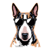 Bull terrier