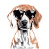 Foxhound anglais