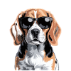 Beagle