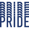 Blue Pride Geometric Pattern