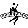 Volleyball Club Sports