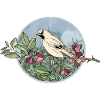 Bunter Vogel