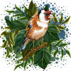 Bunter Vogel