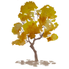 Arbre d'automne