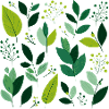 Feuilles vertes