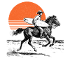 Surfer Cowboy
