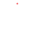 Funny Skeleton with red rose flower
