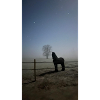 IMG-20260103-WA0003