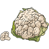cauliflower
